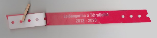 töfrafjallid armband